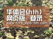 种植基地七