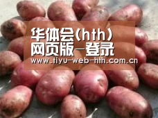产品展示标题5(图1)