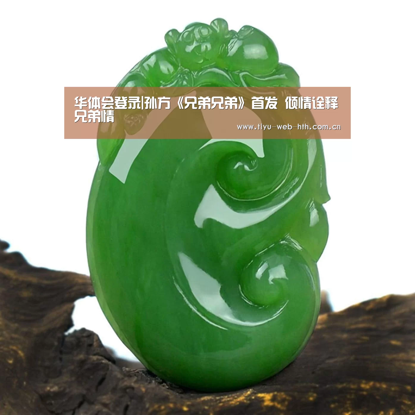 华体会官网