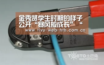 华体会